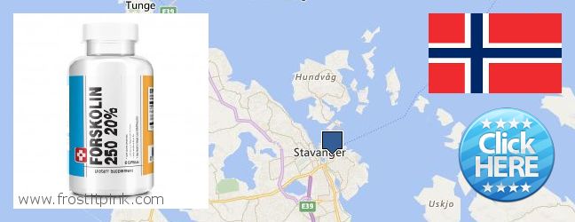 Buy Forskolin Extract online Stavanger, Norway