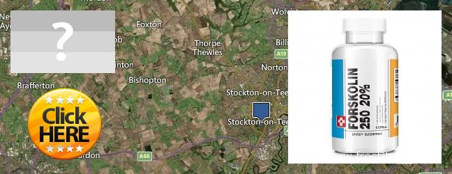 Where to Purchase Forskolin Extract online Stockton-on-Tees, UK