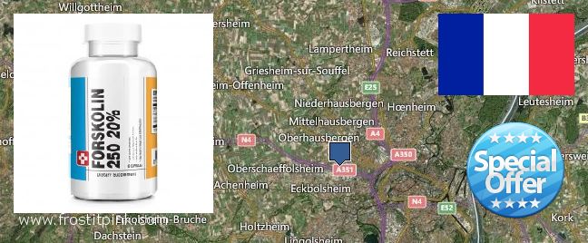 Where to Buy Forskolin Extract online Strasbourg, France