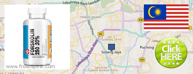 Where to Buy Forskolin Extract online Subang Jaya, Malaysia