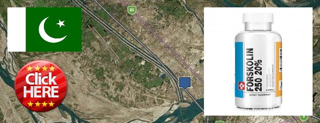 Buy Forskolin Extract online Sukkur, Pakistan Where Can I Purchase Forskolin Extract online Sukkur, Pakistan