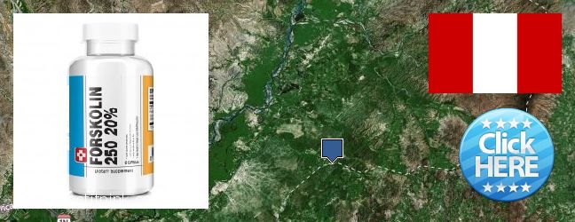 Buy Forskolin Extract online Sullana, Peru Where to Buy Forskolin Extract online Sullana, Peru