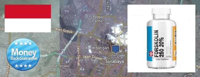 Where to Buy Forskolin Extract online Surabaya, Indonesia