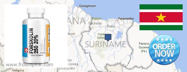 Purchase Forskolin Extract online Suriname Where to Buy Forskolin Extract online Suriname