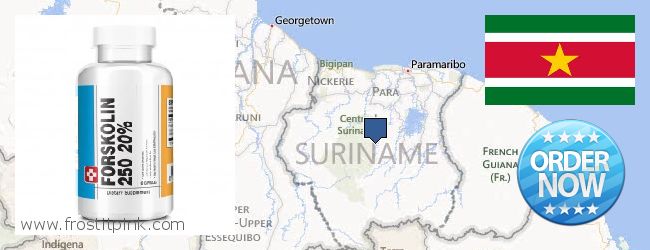 Var kan man köpa Forskolin nätet Suriname