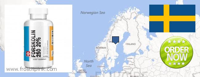 Where to Buy Forskolin Extract online Sweden