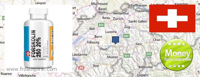 Where to Buy Forskolin Extract online Switzerland