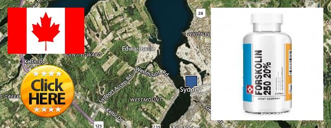Où Acheter Forskolin en ligne Sydney, Canada
