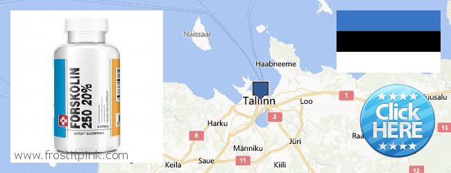 Where to Purchase Forskolin Extract online Tallinn, Estonia