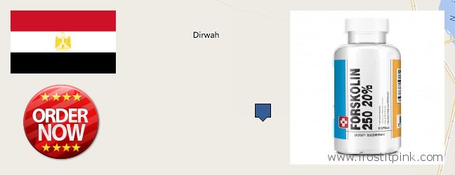 Purchase Forskolin Extract online Tanda, Egypt Best Place to Buy Forskolin Extract online Tanda, Egypt