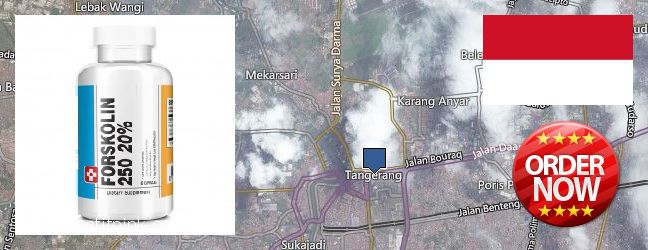 Where to Buy Forskolin Extract online Tangerang, Indonesia