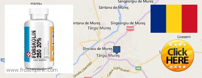 Hol lehet megvásárolni Forskolin online Targu-Mures, Romania