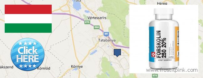 Unde să cumpărați Forskolin on-line Tatabánya, Hungary