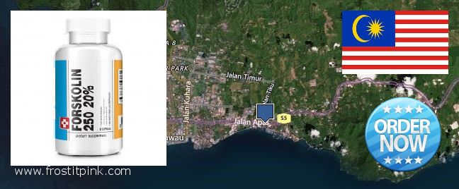 Buy Forskolin Extract online Tawau, Malaysia Where to Buy Forskolin Extract online Tawau, Malaysia