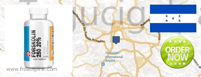 Where to Purchase Forskolin Extract online Tegucigalpa, Honduras