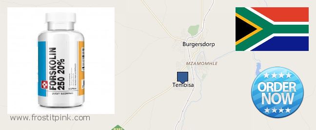 Waar te koop Forskolin online Tembisa, South Africa