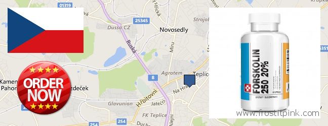 Къде да закупим Forskolin онлайн Teplice, Czech Republic