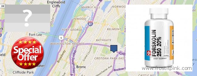 Къде да закупим Forskolin онлайн The Bronx, USA