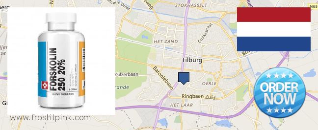 Where to Purchase Forskolin Extract online Tilburg, Netherlands