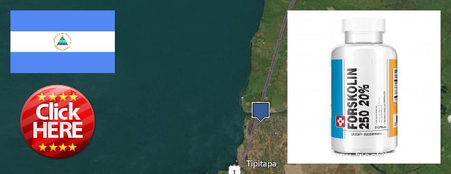 Where Can I Buy Forskolin Extract online Tipitapa, Nicaragua