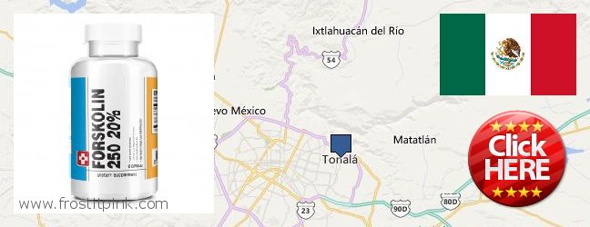 Where to Buy Forskolin Extract online Tonala, Mexico