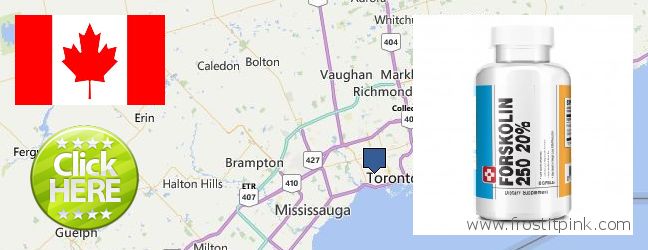 Where to Buy Forskolin Extract online Toronto, Canada