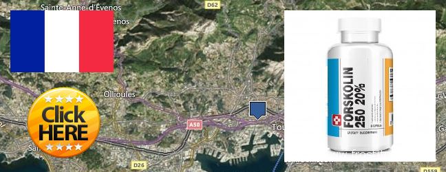 Buy Forskolin Extract online Toulon, France Where Can I Buy Forskolin Extract online Toulon, France