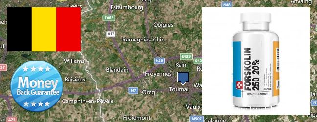Where to Buy Forskolin Extract online Tournai, Belgium