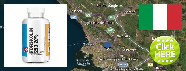 Buy Forskolin Extract online Trieste, Italy