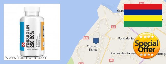 Best Place to Buy Forskolin Extract online Triolet, Mauritius