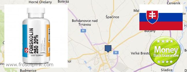 Where to Buy Forskolin Extract online Trnava, Slovakia