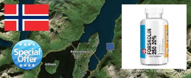Jälleenmyyjät Forskolin verkossa Tromso, Norway