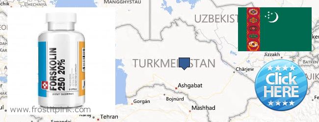 Purchase Forskolin Extract online Turkmenistan