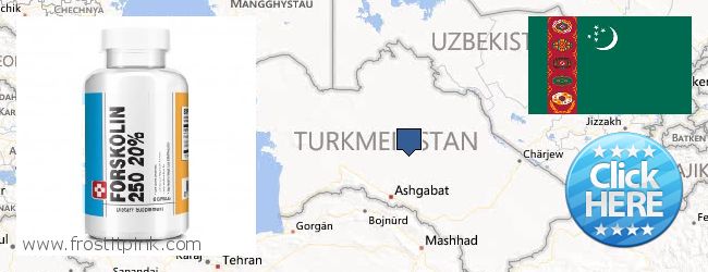 Buy Forskolin Extract online Turkmenistan Where to Buy Forskolin Extract online Turkmenistan