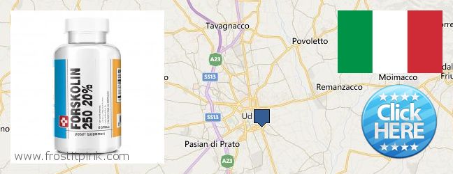 Dove acquistare Forskolin in linea Udine, Italy