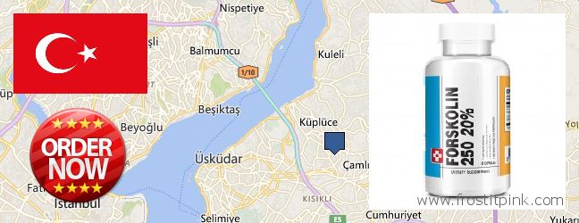 Buy Forskolin Extract online UEskuedar, Turkey