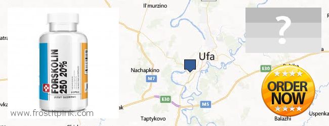 Jälleenmyyjät Forskolin verkossa Ufa, Russia