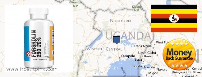 Where to Purchase Forskolin Extract online Uganda