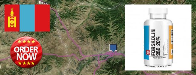 Where to Purchase Forskolin Extract online Ulaanbaatar, Mongolia