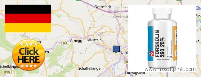 Hvor kan jeg købe Forskolin online Ulm, Germany