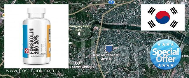 Where to Purchase Forskolin Extract online Ulsan, South Korea