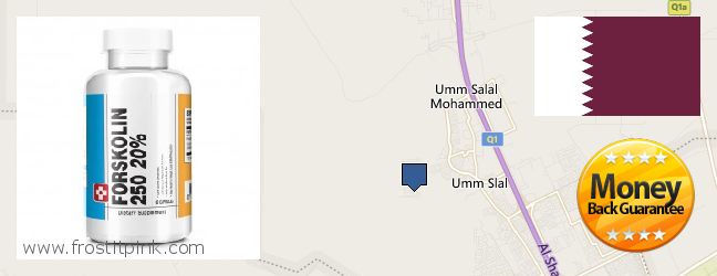 Where to Buy Forskolin Extract online Umm Salal Muhammad, Qatar