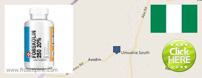 Where to Buy Forskolin Extract online Umuahia, Nigeria