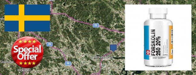 Best Place to Buy Forskolin Extract online Uppsala, Sweden