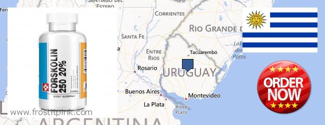 Where to Buy Forskolin Extract online Uruguay
