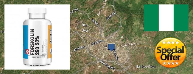 Where to Buy Forskolin Extract online Uyo, Nigeria