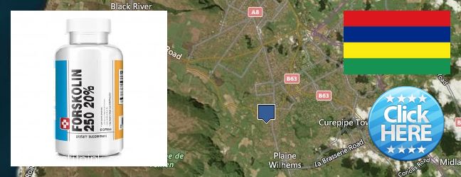 Buy Forskolin Extract online Vacoas, Mauritius Purchase Forskolin Extract online Vacoas, Mauritius