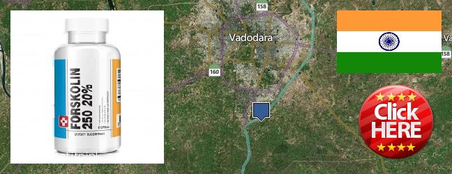 Purchase Forskolin Extract online Vadodara, India Best Place to Buy Forskolin Extract online Vadodara, India