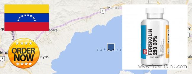 Dónde comprar Forskolin en linea Valencia, Venezuela