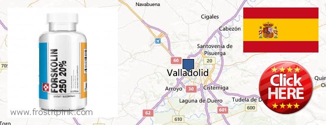 Dónde comprar Forskolin en linea Valladolid, Spain